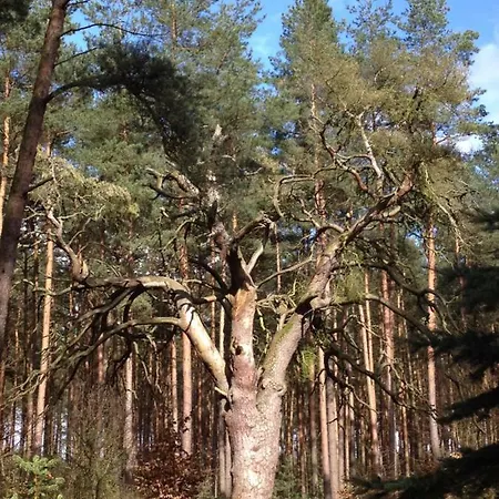 アパート Haus Hanni *